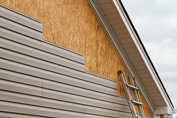 Professional Siding Repair technician working in Springfield, MN